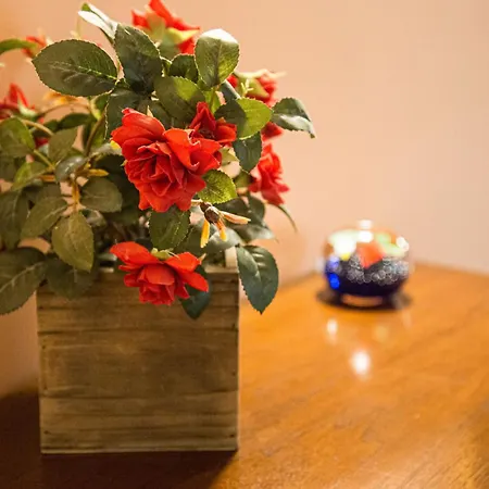 公寓 Lovely Flat With Canal View Near Rialto Bridge 威尼斯